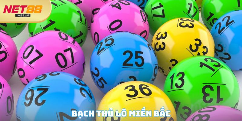Bạch Thủ Lô Miền Bắc