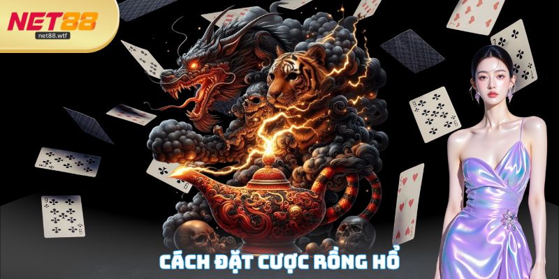 Cách đặt cược Rồng Hổ