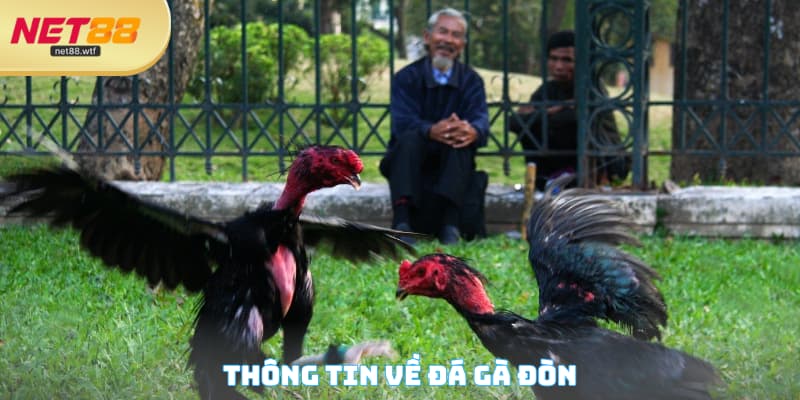 Thông tin về đá gà đòn